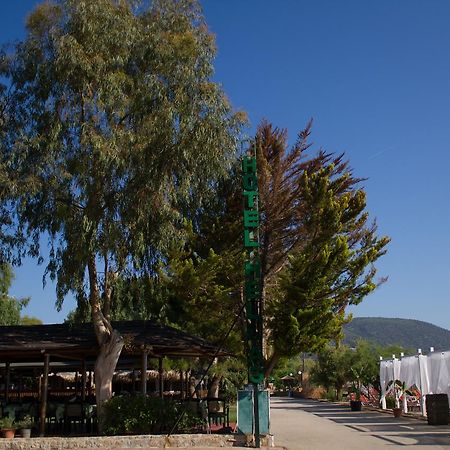 Hotel Hellas Epidaurus Экстерьер фото